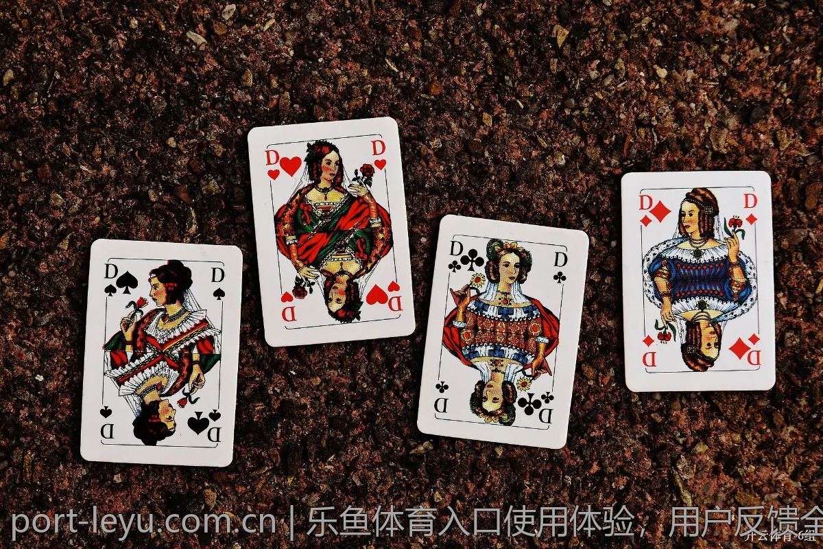 乐鱼体育入口使用体验，用户反馈全记录