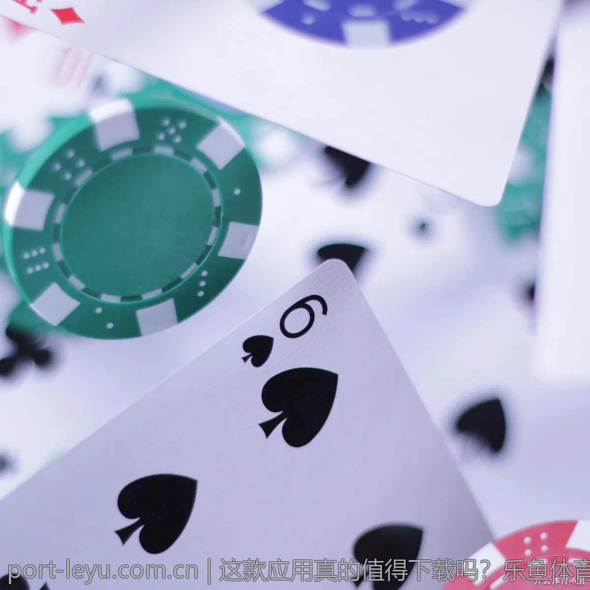 这款应用真的值得下载吗？乐鱼体育评测