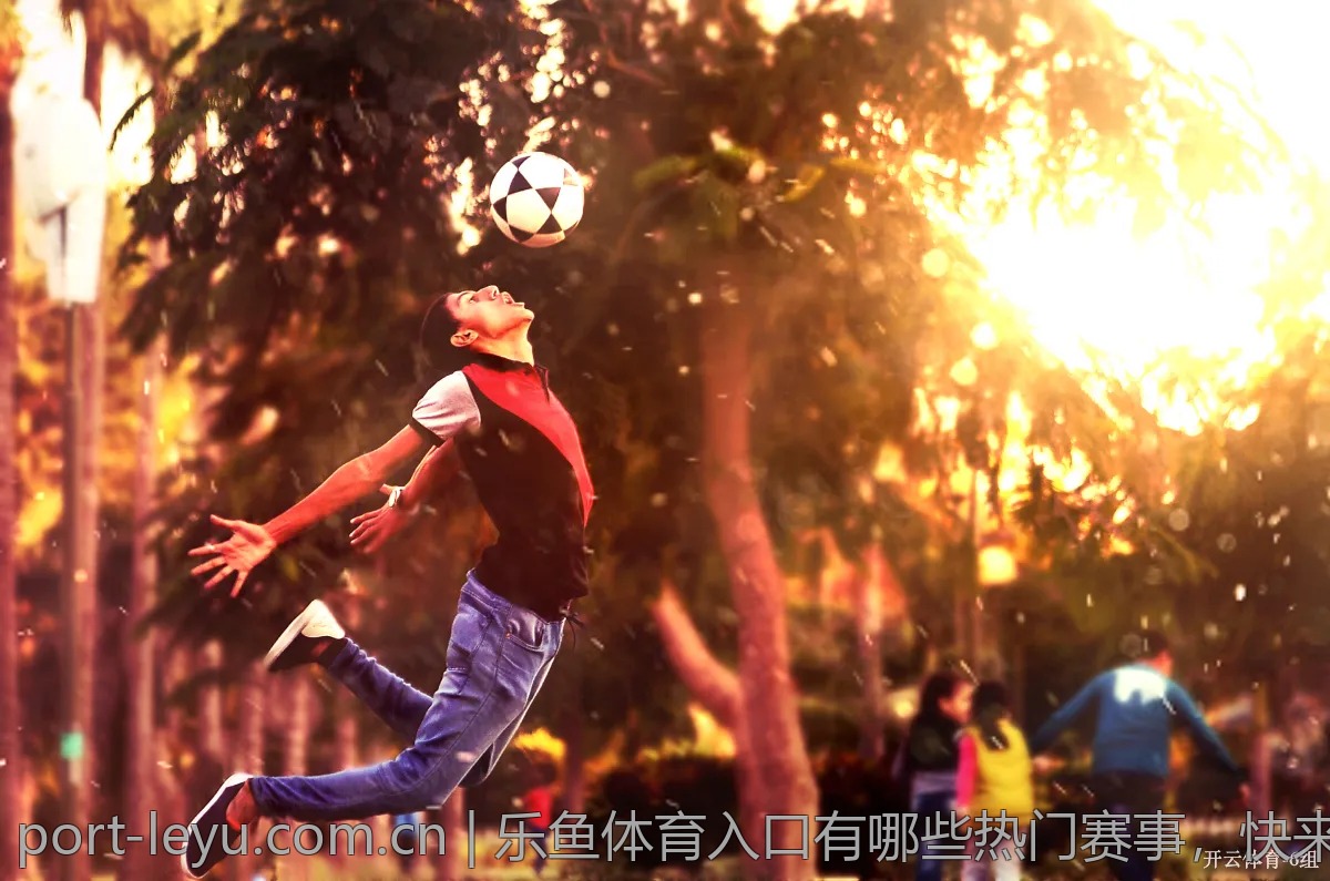 乐鱼体育入口有哪些热门赛事，快来了解！