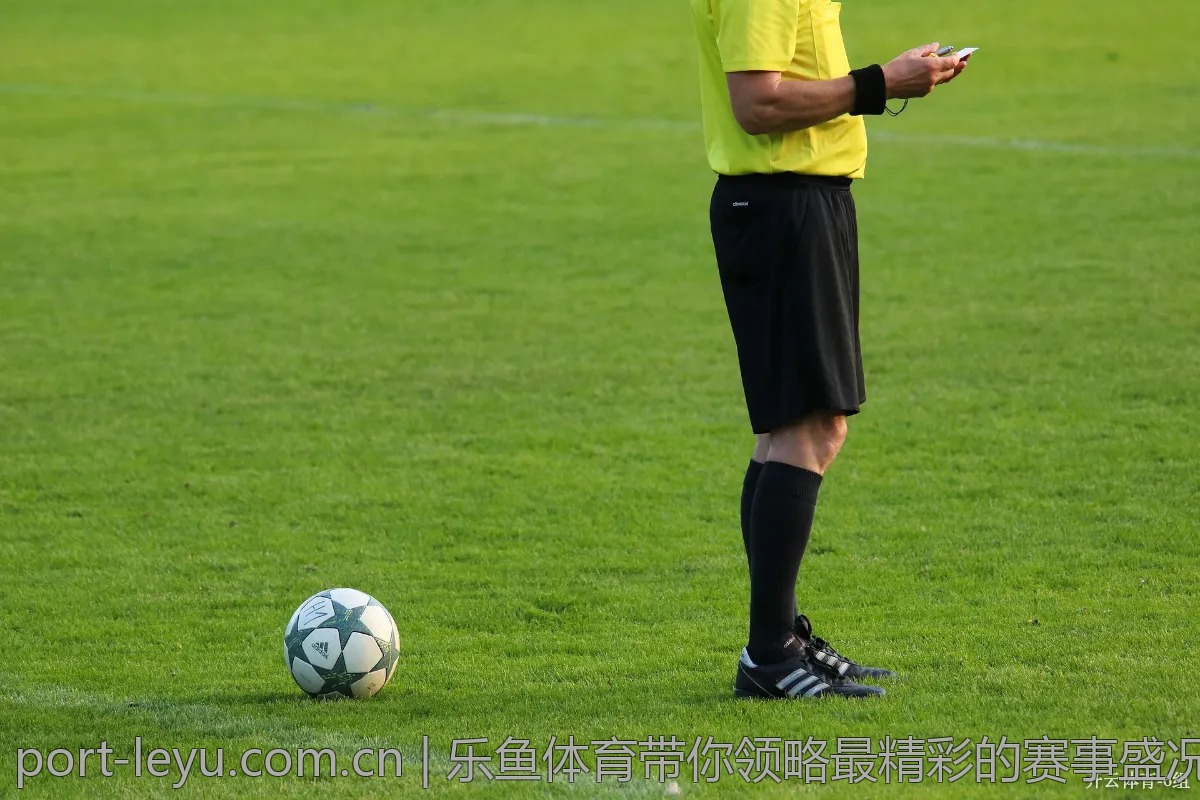 乐鱼体育带你领略最精彩的赛事盛况