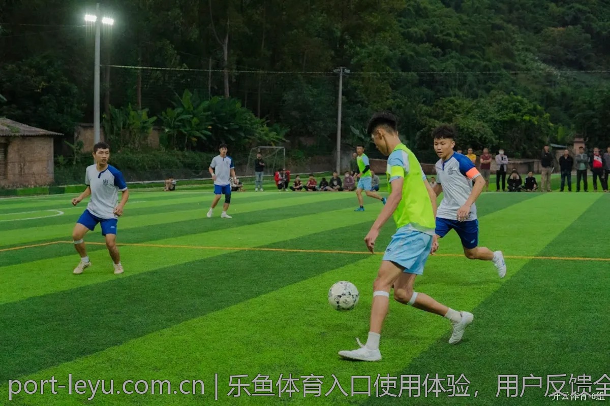 乐鱼体育入口使用体验，用户反馈全记录