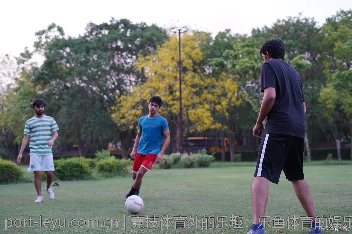 竞技体育外的乐趣：乐鱼体育的娱乐平台解析