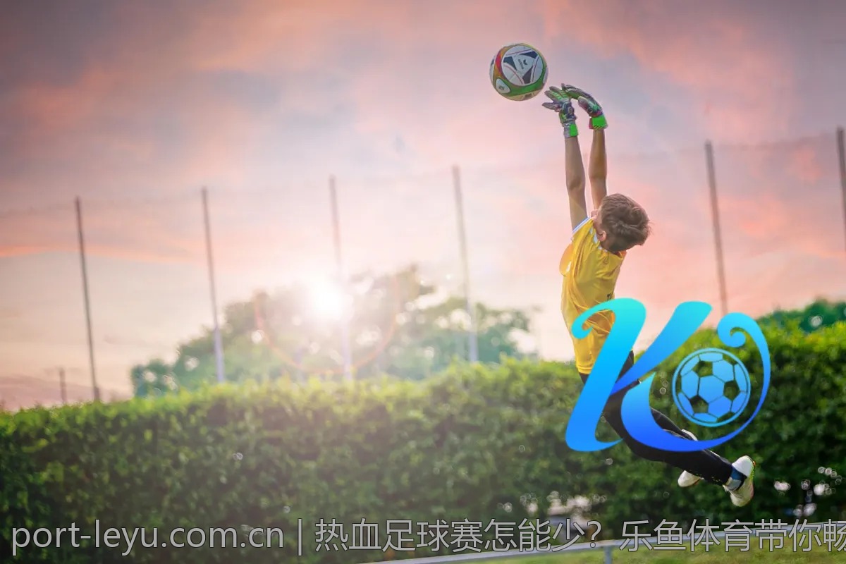乐鱼体育官网使用经验，如何快速上手！