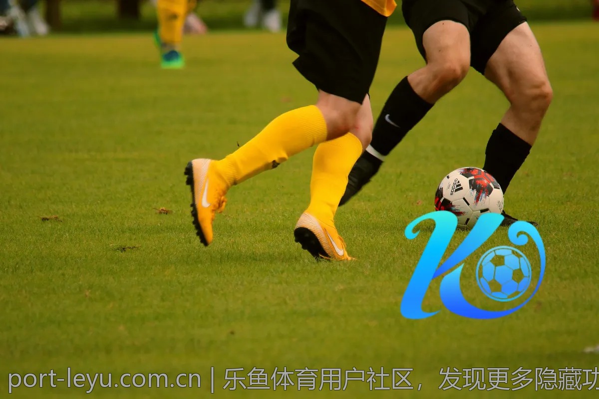 乐鱼体育用户社区，发现更多隐藏功能
